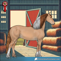 Horse Color:Red Dun Tobiano 