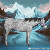 Horse Color:Black Ice Varnish 