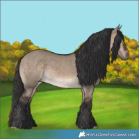 Horse Color:Brown Dun 