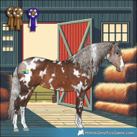 Horse Color:White Spotted Silver Brown