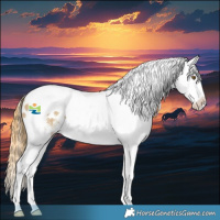 Horse Color:White Spotted Classic Cream Champagne Dun Splash Tobiano Appaloosa Rabicano 