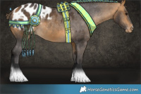 Horse Color:Buckskin Appaloosa 