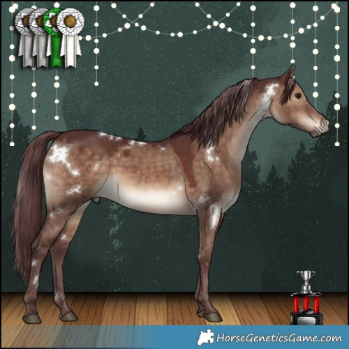 Horse Color:White Spotted Chocolate Brown Dun 