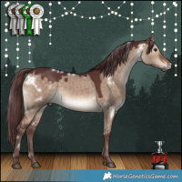 Horse Color:White Spotted Chocolate Brown Dun 