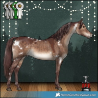 Horse Color:White Spotted Chocolate Brown Dun 