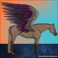 Horse Color:Liver Red Dun 