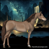 Horse Color:Liver Red Dun