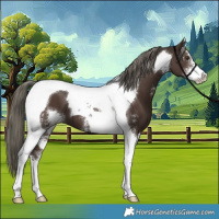 Horse Color:Liver Chestnut Mushroom Sabino Tobiano 