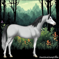 Horse Color:Classic Champagne Chinchilla Dun Splash 