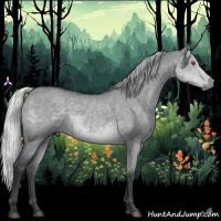 Horse Color:Silver Grullo Chinchilla 