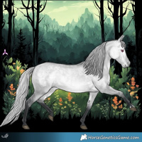 Horse Color:Silver Bay Chinchilla Dun 