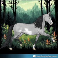 Horse Color:Grullo Chinchilla Frame