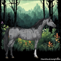 Horse Color:Grullo Chinchilla Brindle 