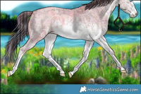 Horse Color:Painted Plaid  White Spotted Perlino Ice Roan Dun Splash Rabicano  and Painted Plaid  White Spotted Liver Red Dun Ice Sabino Rabicano 