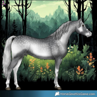 Horse Color:Silver Blue Onyx Chinchilla 
