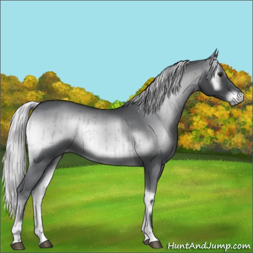 Horse Color:Silver Blue Onyx Chinchilla Brindle 