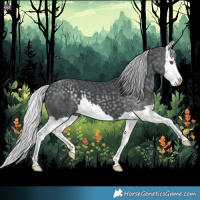 Horse Color:Silver Black Chinchilla Splash 