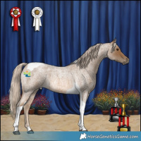 Horse Color:Chocolate Palomino Roan Tobiano