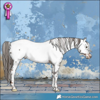 Horse Color:Liver Chestnut Tobiano Appaloosa