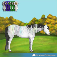 Horse Color:White Spotted Black Ice Tobiano Varnish 
