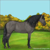 Horse Color:Grullo Rabicano 