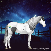 Horse Color:Brown Roan Splash Tobiano 