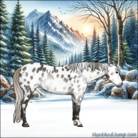 Horse Color:Gray White Spotted Silver Black Appaloosa