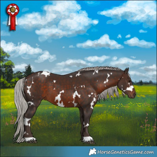 Horse Color:White Spotted Silver Brown