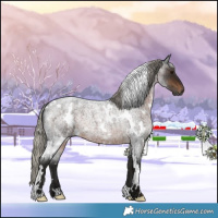 Horse Color:Gray White Spotted Silver Brown Roan 