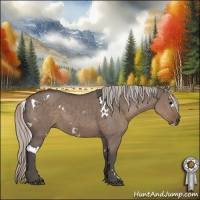 Horse Color:White Spotted Silver Grullo 