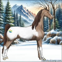 Horse Color:Classic Champagne Appaloosa 