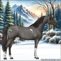 Horse Color:Smoky Blue Roan Tobiano 
