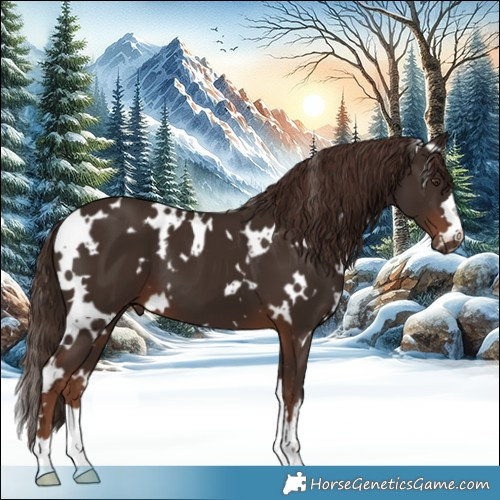 Horse Color:White Spotted Liver Chestnut 