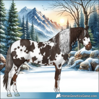 Horse Color:White Spotted Liver Chestnut 