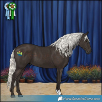 Horse Color:Liver Chestnut Mushroom 