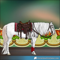 Horse Color:Chestnut Appaloosa