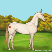 Horse Color:Buckskin Roan Pearl and Buckskin Roan Pearl