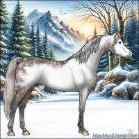 Horse Color:Gray Silver Bay Ice Frame 