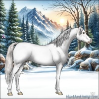 Horse Color:Silver Brown Ice Sabino Splash Tobiano Frame