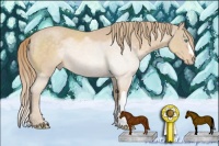 Horse Color:Perlino 