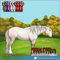 Horse Color:Perlino 