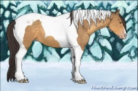 Horse Color:Sable Cream Champagne Tobiano 