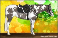 Horse Color:White Spotted Silver Black Sabino Rabicano 