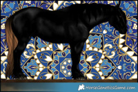 Horse Color:Void Grullo Appaloosa