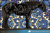Horse Color:Void Grullo Appaloosa 