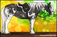 Horse Color:White Spotted Liver Chestnut Mushroom Rabicano 