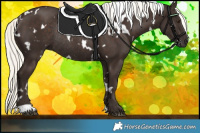 Horse Color:White Spotted Liver Chestnut Mushroom Rabicano