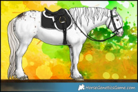 Horse Color:White Spotted Liver Chestnut Mushroom Rabicano 