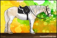 Horse Color:White Spotted Silver Smoky Black Pearl Mushroom 