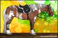 Horse Color:White Spotted Silver Brown Mushroom Rabicano 